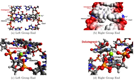 Figure 5:(a) Molecular modeling to show the ﬁt of dolutegravir within the RNA framework of thecomplementary nuclotide pair of adenine and uracil