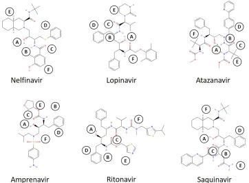 Figure 6:For each of the molecules listed, there are common structural and functional charac-teristics that make them very well suited for interaction with RNA nucleotide pairs