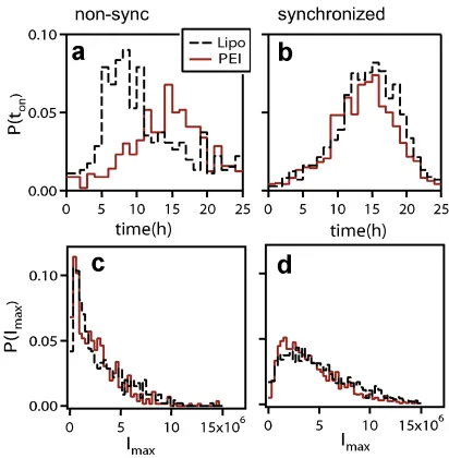 Figure 3e and f display the shift in the steady state