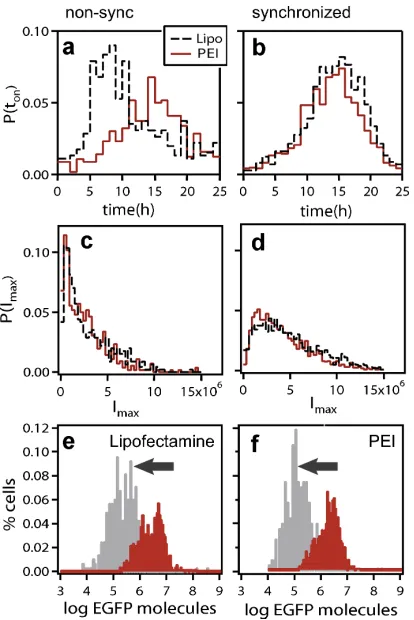 Figure 3.complexes containing an average of m plasmids and (ii)transfection. Distributions of expression onset timesEGFP expression statistics for PEI- and Lipofectamine-mediated t (a and b) and maximal