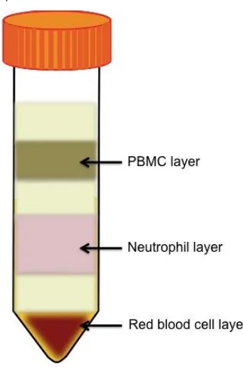 Figure 14: Isolation of white blood cells from whole blood 