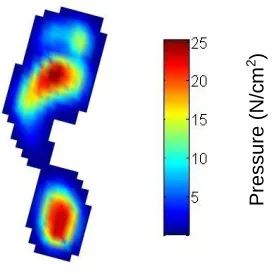 Figure 2.2: Exemplar foot pressure record displayed as a colour map. Colour bar represents actual pressure (N/cm2)