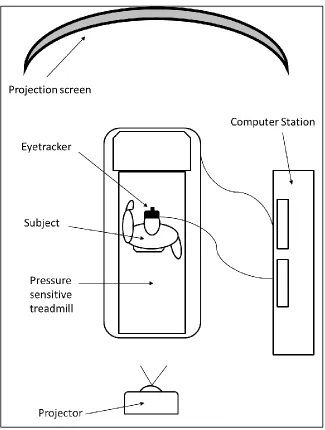 Figure 3.1: Diagrammatic representation of the experimental set up, including the eyetracker, pressure sensitive treadmill, projector, and curved projection screen