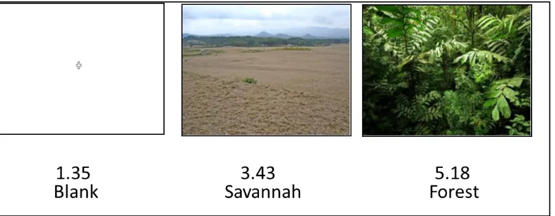 Figure 3.2: Background images representing each of the three visual clutter levels tested