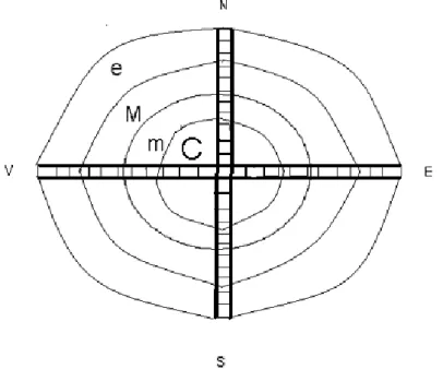 Fig. 1 Sample of permanent plot installed both in group cuts and   in regeneration areas 
