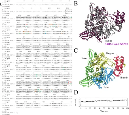 Figure 1. Sequence alignment between 6NUR (PDBID) and SARS-CoV-2 NSP12 RdRp (COVID-19 