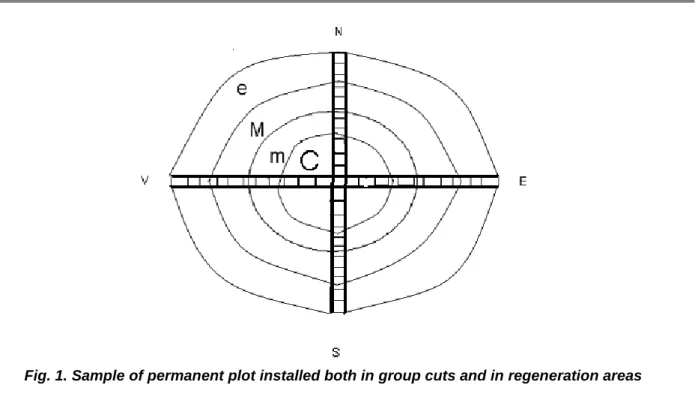 Fig. 1. Sample of permanent plot installed both in group cuts and in regeneration areas 