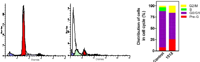 Figure S1-B. Representative DNA histograms of HCT-116 cells following treatment with 1512 at 32 µM  (IC50 concentration) for 24 h