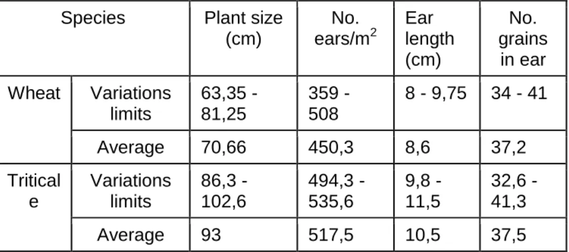 Table 2.  Variability of physiological determinations of wheat and triticale genotypes 