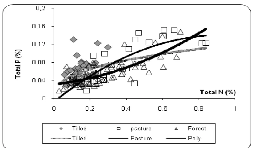 Fig. 6 Total P content as a function of the total N content 