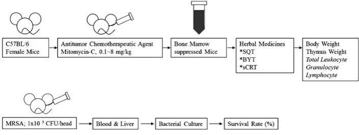 Figure 2. Twenty-four hours change of total peripheral leukocyte count on the basis of each con-stitution/condition