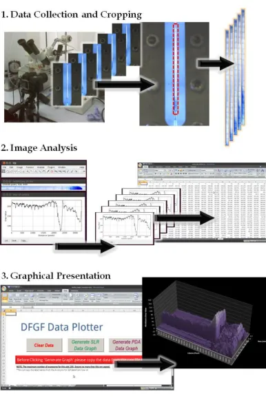 Figure 2.2.11.  1) Data Interpretation.  Moving from left to right, Images were cropped to show 