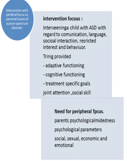 Figure 1: The peripheral focus in the intervention for ASD