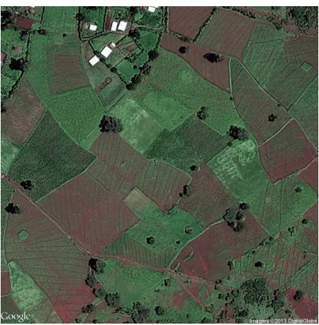 Figure 3.12. Note that the images were in RGB format. The images measured 256×256pixels.