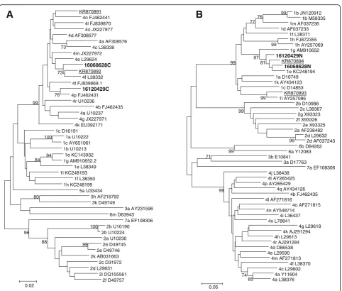 Fig. 1 Phylogenetic trees of the sequences derived from the core and NS5B regions of the putative recombinant viruses described in this work.The neighbour-joining tree is based on the core (a) and NS5B (b) sequences