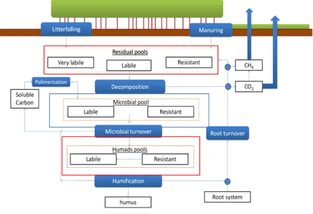 Figure 3. Soil Carbon dynamics in 3D-CMCC-PSM. The three macro pools are highlited by red boxes (dead C 