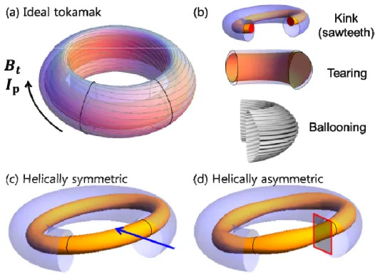 Figure 1 (a) Nested flux surfaces and helical field lines of an ideal tokamak. (b) Distortion of  flux surfaces by MHD instabilities