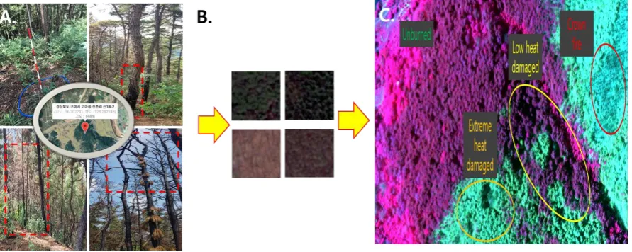 Figure 4. The development process of the reference map (a. collect geocoordinate data from the difference of fire severity locations in the unburned, low heat-damaged area, extreme heat-damaged area, and crown fire b