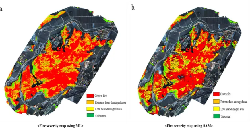 Figure 7. Identified fire severity using maximum likelihood (ML) and spectral angle mapper (SAM) in Sokcho-si (a