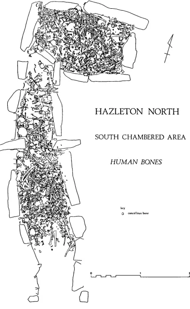 Figure 5. 2Spatial representation of total scatter of bones in the South Chamber(adapted from Saville, 1990).