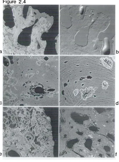 Figure 2.4r-  U! _it ;.I-_j - -