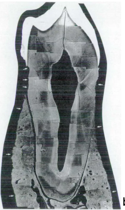 Figure 2.61. -7i