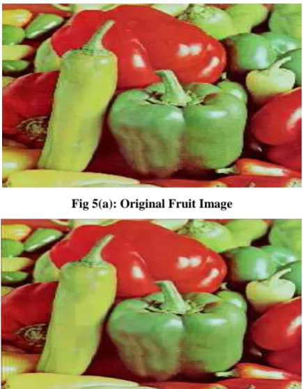 Fig 5(a): Original Fruit Image 