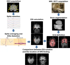 Figure 1. A schematic flux of acquisition and processing steps applied for obtaining ESI maps