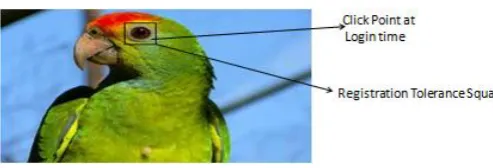 Fig 1: Click Point at registration time 