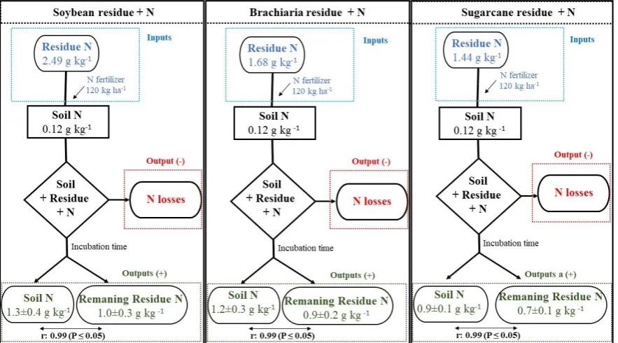 Figure 3. Graph algorithm with the inputs (crop residues and N mineral fertilizer) and outputs (Total N soil, N losses, and N in residue remaining) in the incubation system