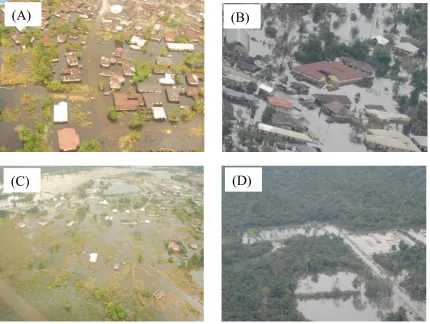 Table 5. Comparative analysis of aerial photo data points, model and SAR observation flood extents