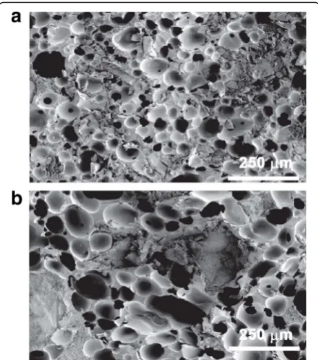 Table 2 Characteristics and mechanical properties of LV-PUR/ceramic composite bone grafts