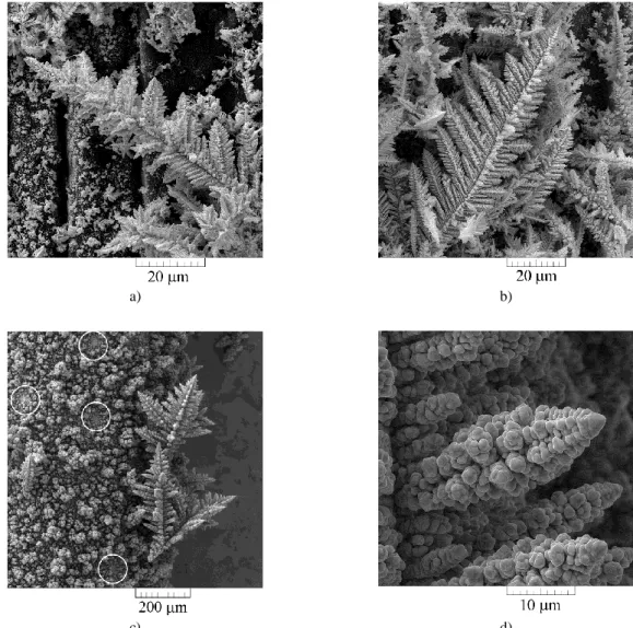 Figure  2  shows  silver  (Fig.  2,  a  and  b)  and  copper  (Fig.  2,  c  and  d)  deposits  obtained  at  an 