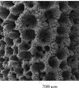 Fig. 6. The typical honeycomb-like structure obtained by Cu  electrodeposition at an overpotential of 850 mV 