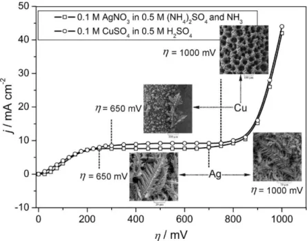 Fig. 8. Comparative survey of the polarization and morphological characteristics of copper and silver