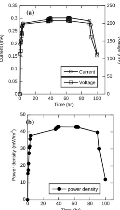 Figure 4.   (a) Current and Voltage (b) Power Density at  Time Operation of 100 Hours 