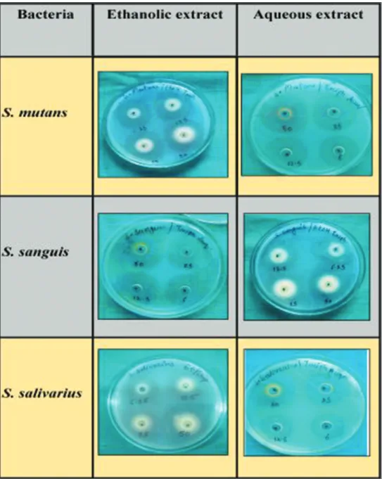 Figure 1: Mean diameter of inhibition zone by ethanolic and aqueous extracts of Triphala on Streptococcus mutans, Streptococcus sanguis and  Streptococcus salivarius