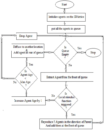 Figure 3: Algorithm Flowchart 