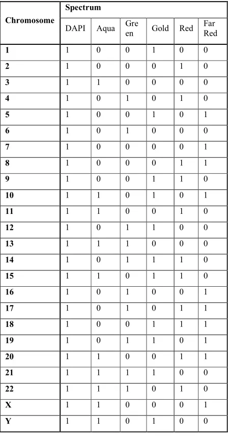 Table 1.Chromosome labeling chart for Vysis M-FISH probe 