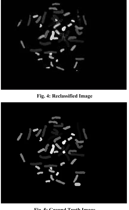 Fig. 4: Reclassified Image 