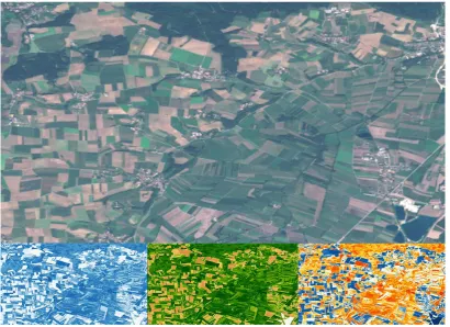 Figure 1. Sentinel-2 in RGB and its multispectral indices, which deliver various important growth and health information for every crop type