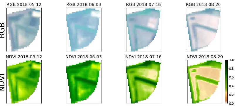 Figure 2. Example for a time series data set of a field with four RGB and NDVI samples during the vegetation period 2018