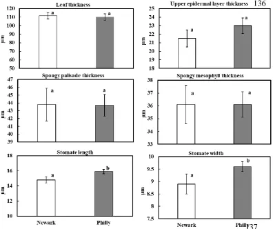 Figure 2. Leaf anatomy traits of red maple trees in Newark and Philadelphia forests. Letters represent significant differences between means when α ≤ 0.10