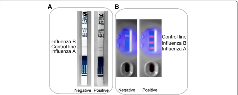 Fig. 1 Test modes of the two combined detection test stripsinfluenza A line (near the sample loading well) and the influenza B line