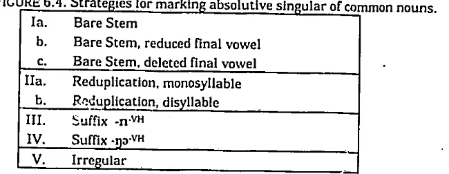 FIGURE 6.3. Person marked nomina Is. 