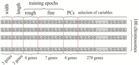Fig. 3. Encoding the chromosomes used during the search for the best model performed using the genetic algorithm 