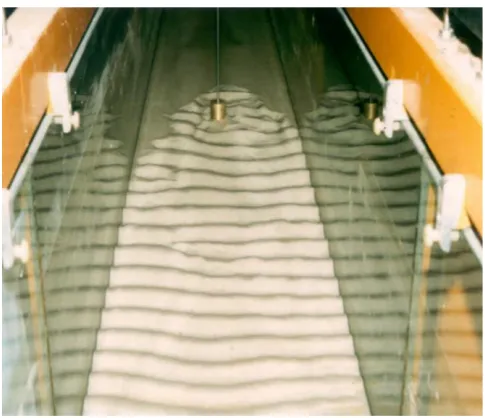 Figure 1. General view of an experiment from a study carried out in the laboratory. 