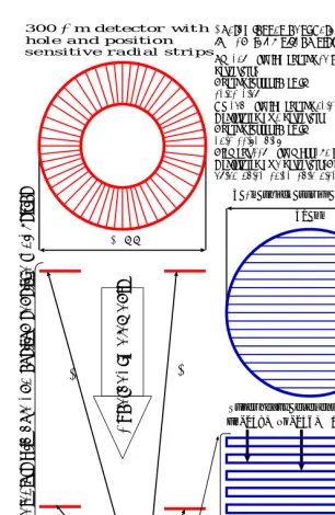 Figure 1: (Colour online) The design of silicon vertex detector for superheavyelements identiﬁcation