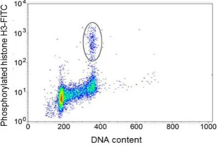 Figure 9. Dot plot of DNA content (x-axis) versusphosphorylated Histone H3 (y-axis).                                                            