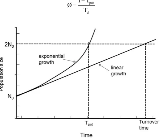 Figure 3. The relationships between the definition of turnover time and potential doubling time